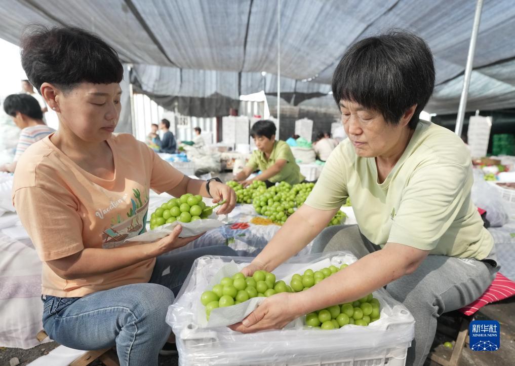 黄金海岸游戏大厅